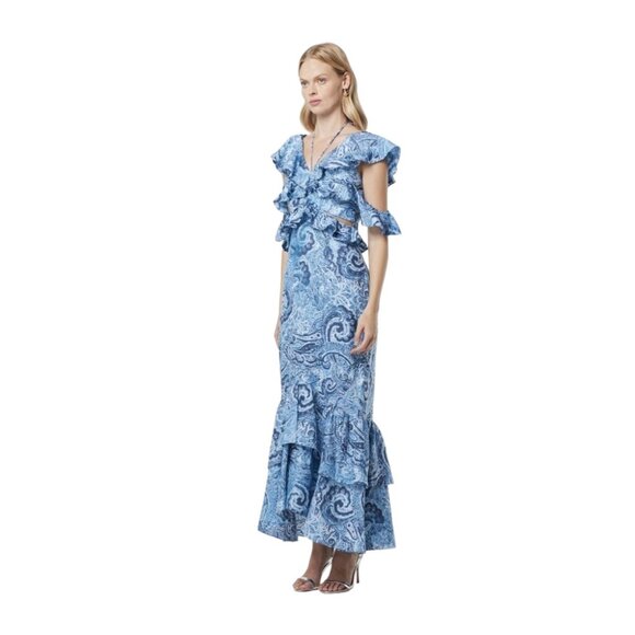 NWT ELLIATT Snow Printed Linen Maxi Gown In Blue - Picture 5 of 7